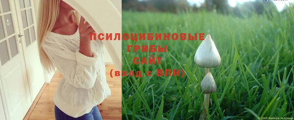 тгк Лихославль