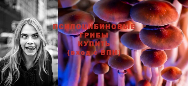 ECSTASY Лагань