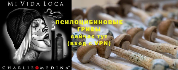 стаф Ладушкин