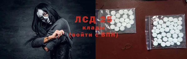ECSTASY Лагань
