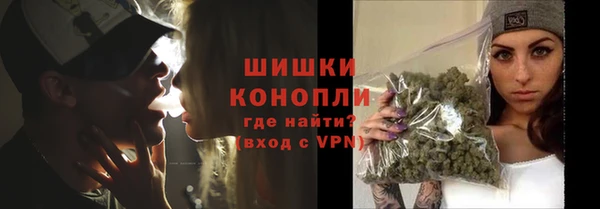 стаф Ладушкин