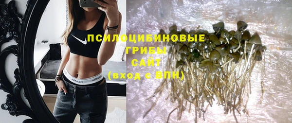 дурь Кукмор