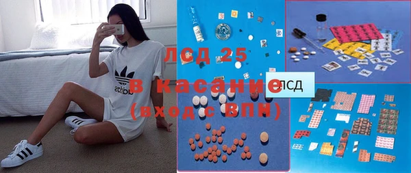 стаф Ладушкин