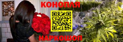 МДПВ Канаш