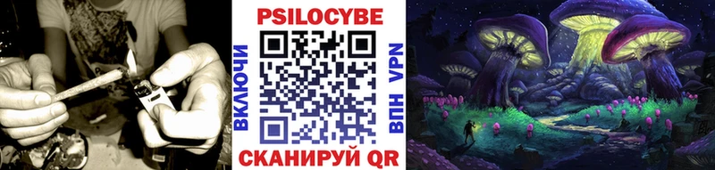 Псилоцибиновые грибы прущие грибы Лесной